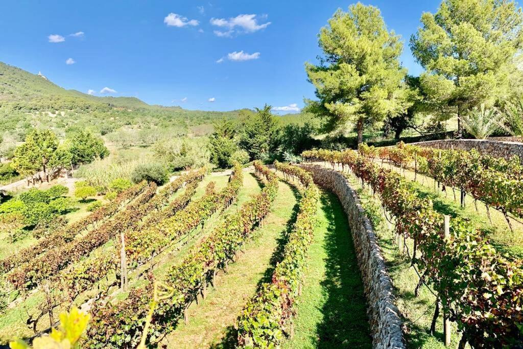 Es Castell De Ca N'Alou De Ses Cases Noves S'Horta Zewnętrze zdjęcie